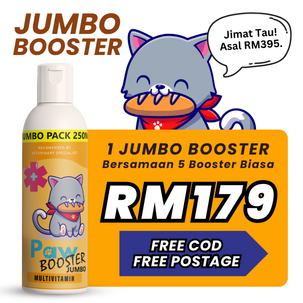 1 JUMBO BOOSTER